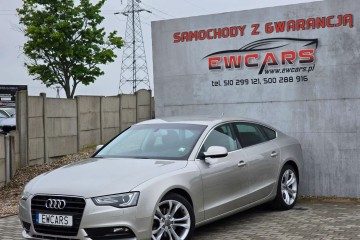 1,8 170km LED BI-Xenon OPŁACONY Platynowy kolor LIFT